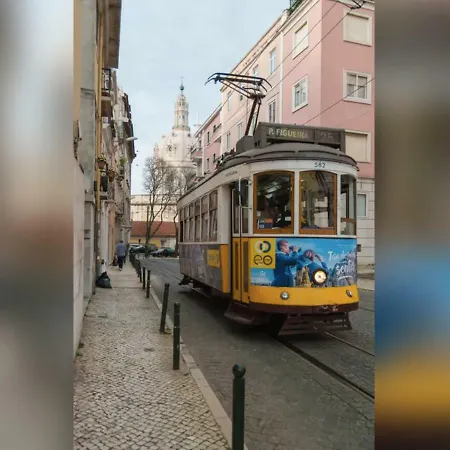 Cosy Studio In Lapa District Daire Lisboa